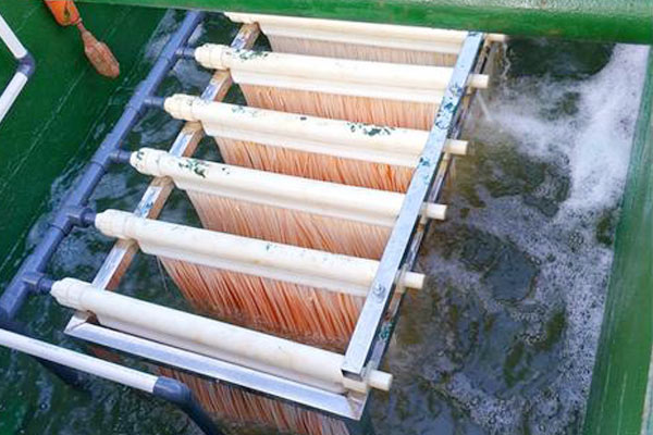 食品加工污水處理的三種方式是什么？